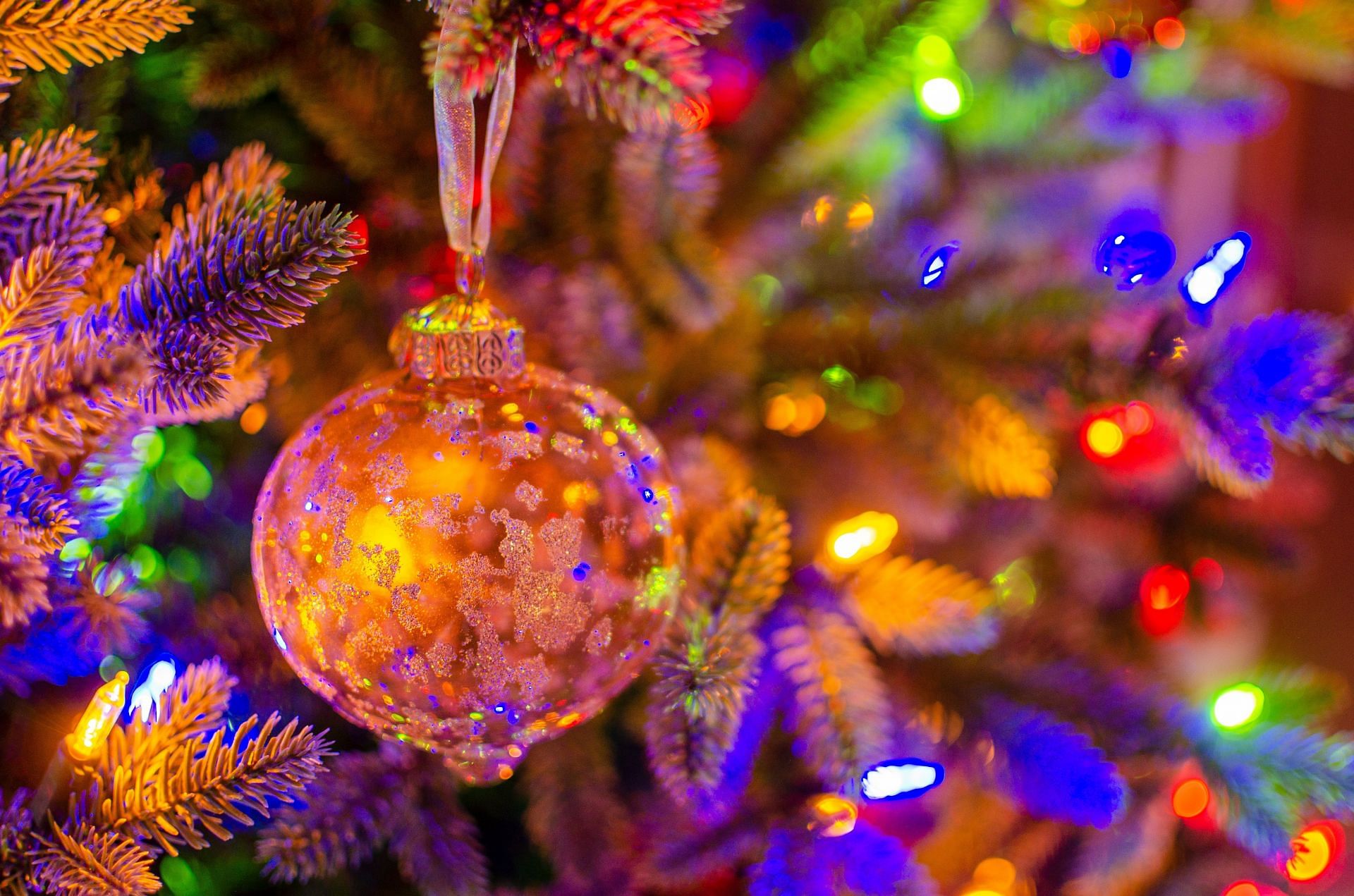 Christmas Fruits (Image via Unsplash/Trac Vu)